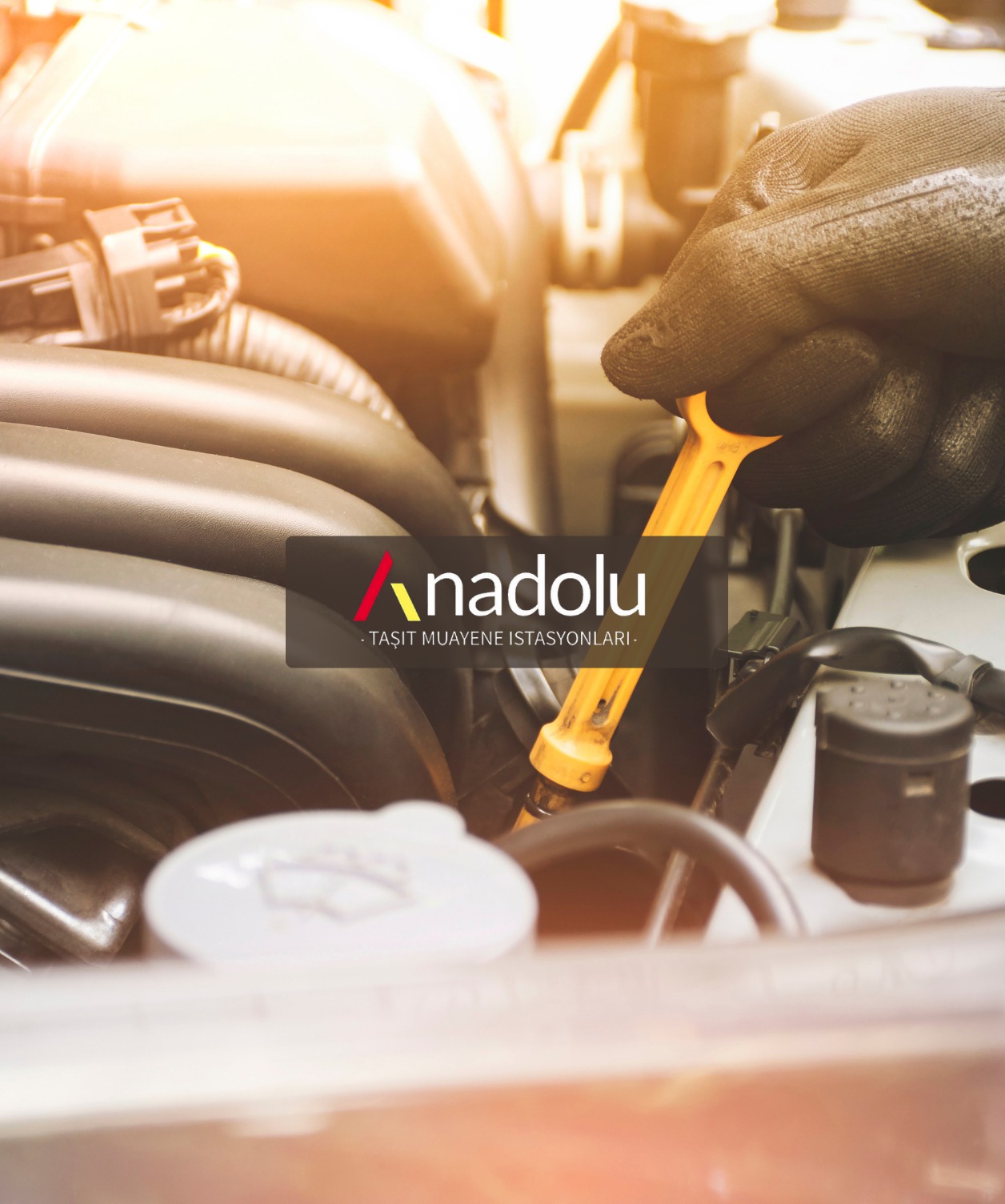 Anadolu Taşıt